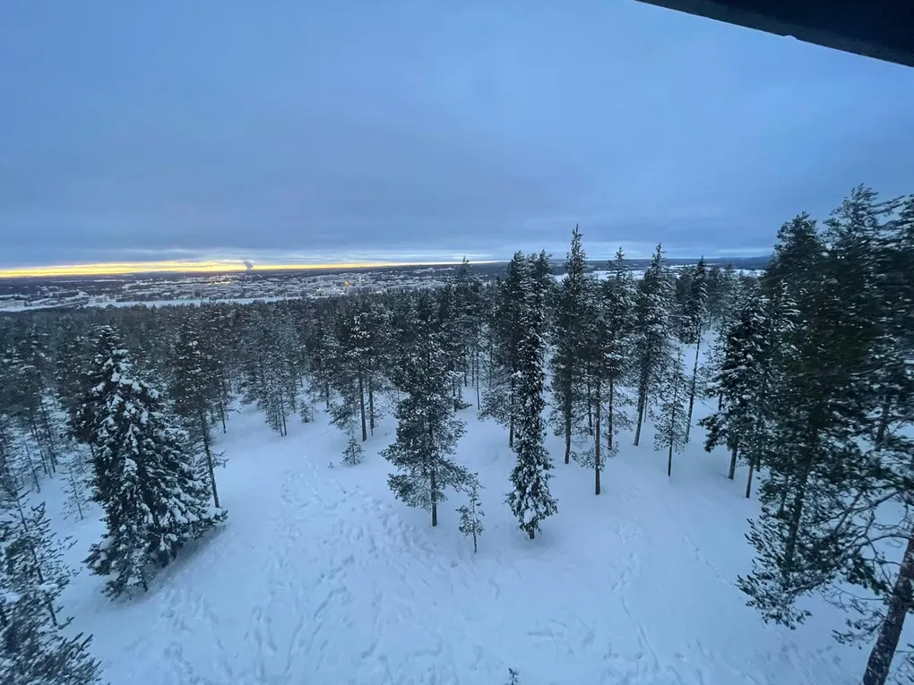 A sunset over a forest in Finland